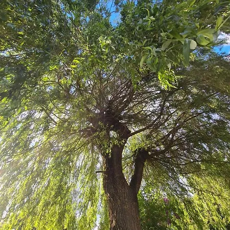 Le Tonneau Insolite Du Souffle Du Saule Отель типа 