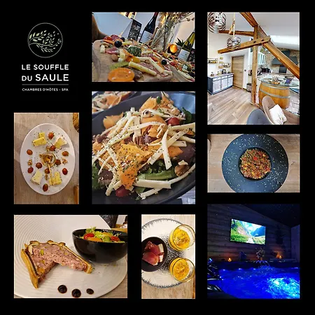 Bed and Breakfast Le Tonneau Insolite Bacchus - Le Souffle Du Saule - *
