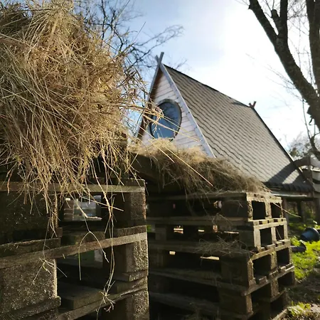 Le Tonneau Insolite Bacchus - Le Souffle Du Saule - Bed & Breakfast