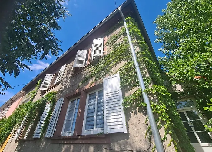 Le Tonneau Insolite Bacchus - Le Souffle Du Saule - * Buhl-Lorraine