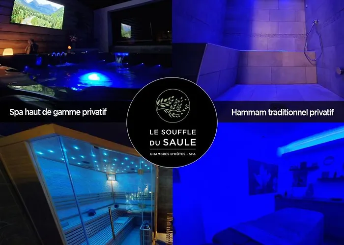 Bed & Breakfast Le Tonneau Insolite Bacchus - Le Souffle Du Saule - Buhl-Lorraine