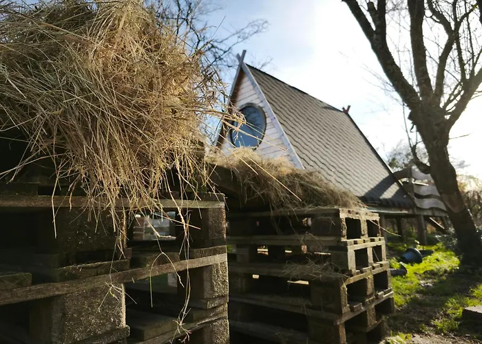 Le Tonneau Insolite Bacchus - Le Souffle Du Saule - Bed & Breakfast